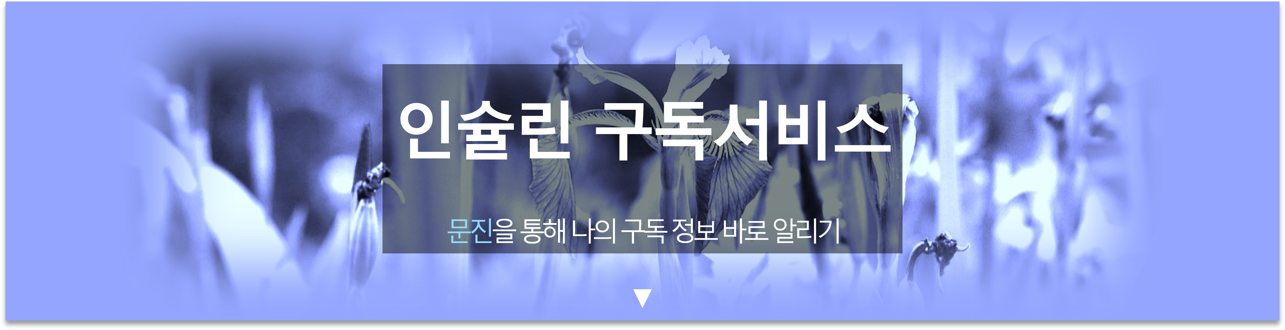 식재료 추천 이미지